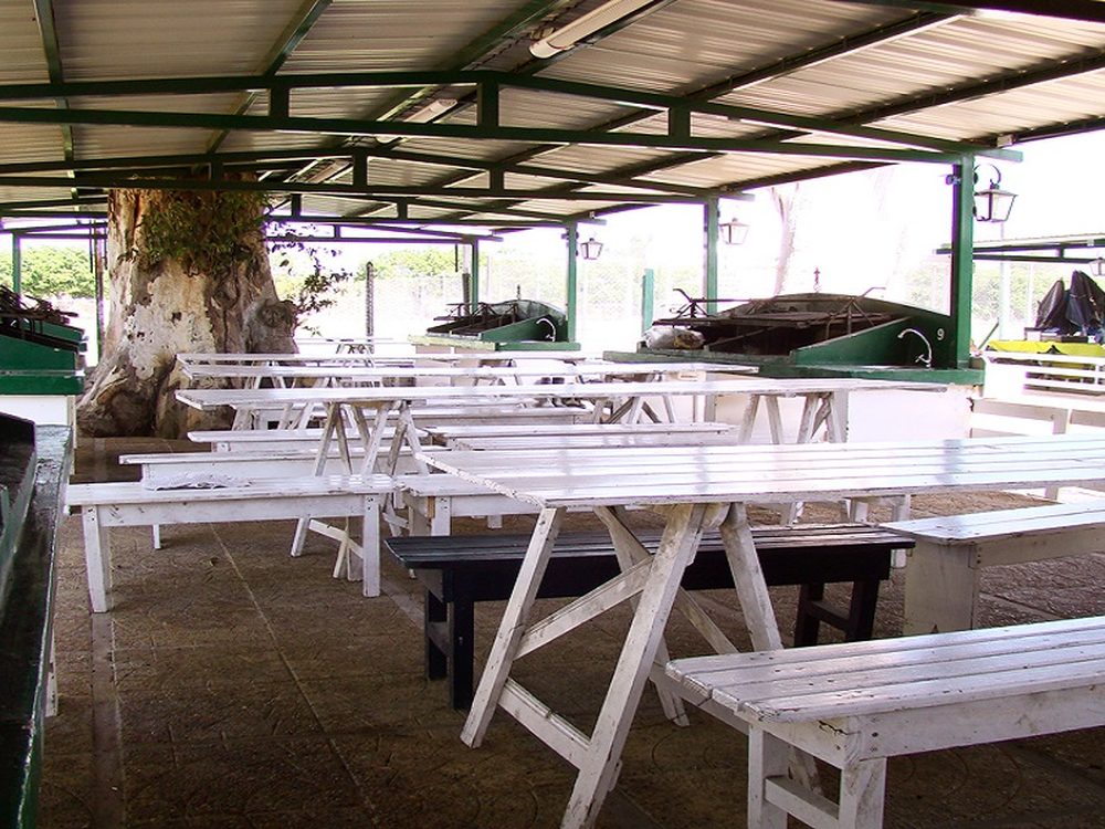 16 Asadores